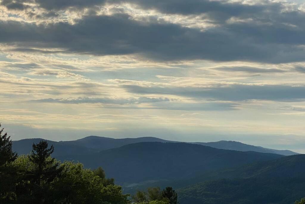 Urig / Mitten Im Bayerischen Wald + Schonblick + Netflix Schöfweg Exterior foto